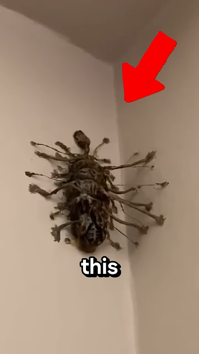 If you see this,  Don't panic.