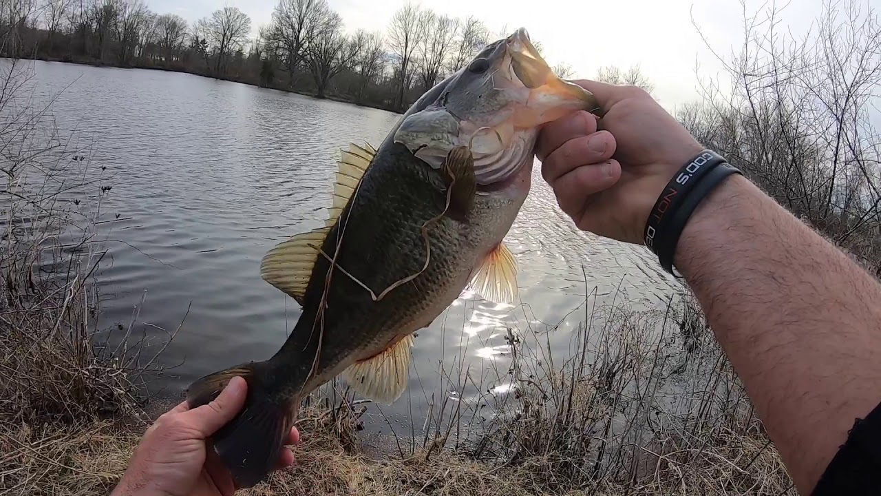 🎣🎣 West Virginia Bass Fishing Is Getting Good 🔥🔥🎣🎣 March 2020 - YouTube