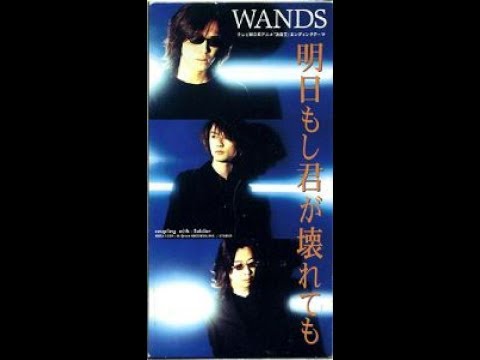 WANDS - 明日もし君が壊れても(cover)