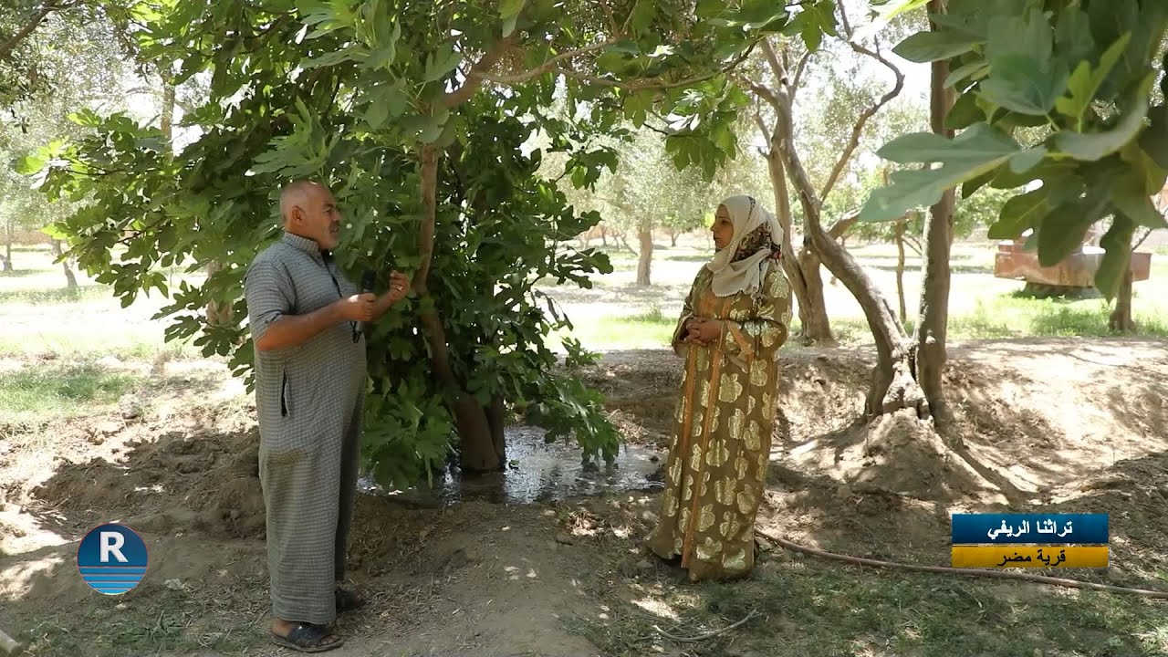 تراثنا الريفي || مزرعة مضر شرقي مدينة الرقة || 27 - 6 - 2025