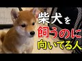 【音声解説】飼う前に見て!柴犬を飼うのに向いている人の特徴