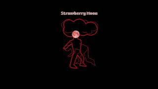 Temuriko Diasamidze ft. Beka Gochiashvili - Strawberry Moon