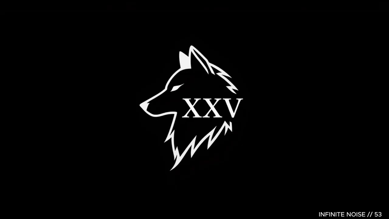 INFINITE NOISE // 53