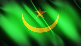Flag of Mauritania Waving [FREE USE] screenshot 5