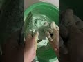 Soft Gym Chalk Green Asmr Gymchalk Gymchalkasmr Asmrsounds Sleepaid Oodlysatisfying Shorts 