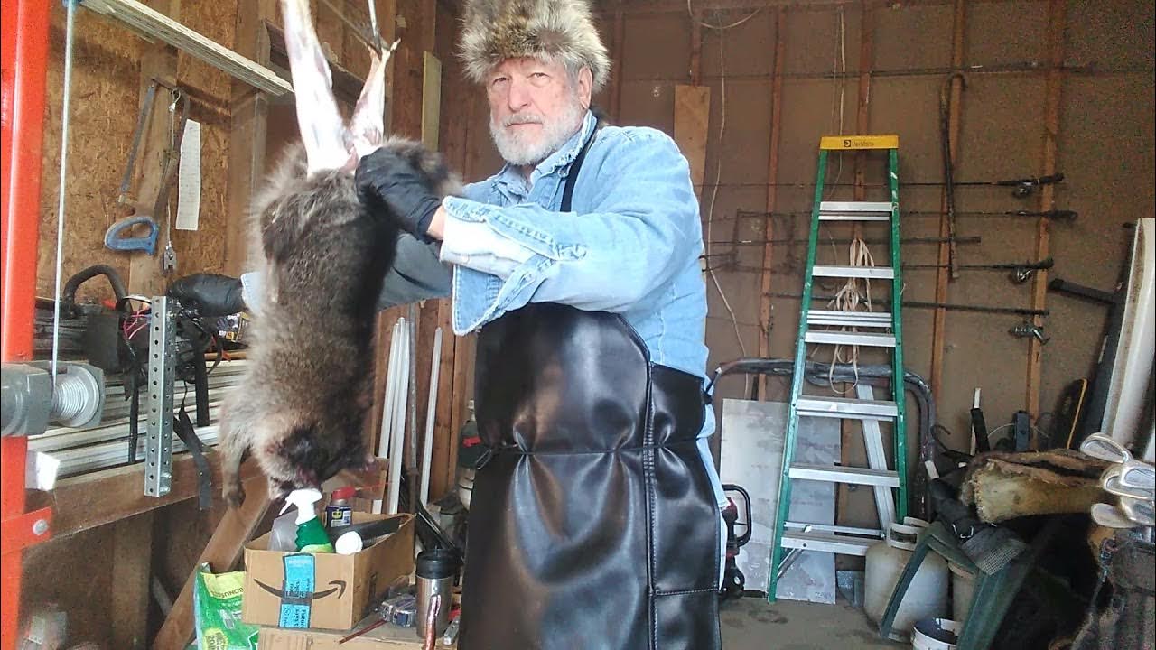 skinning raccoons in (first day of trapping season) YouTube