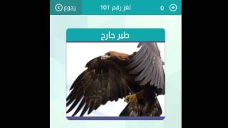 اجابة لغز طير جارح من 4 حروف - كلمات متقاطعه وصله