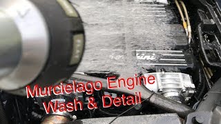 Lamborghini Murcielago Engine Wash & Detail