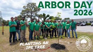 Arbor Day 2026 Tree Planting-Golden Trumpet Tree-Advantage Lumber