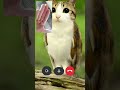 I don't want to show my face to meowl