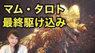 【MHW】モンハンワールド 最終駆け込みマムタロト MONSTER HUNTER【こたば】