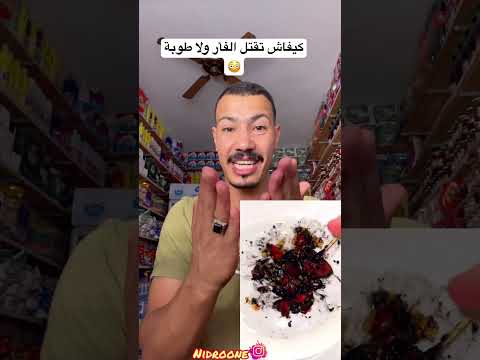 كيفاش تقتل الفأر ولا طوبة الدار البيضاء معلومات أكادير قطر المغرب وصفات مراكش السعودية