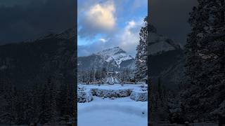 Banff National Park is waking up to a fresh blanket of snow ☃️ - #shorts
And snow it begins ❄️ The first taste of winter has welcomed itself to Banff National Park today ☃️
Plan your winter visit: https://www.banfflakelouise.com/winter
#MyBanff #banffnationalpark #banff Banff National Park is waking up to a fresh blanket of snow ☃️ - #shorts