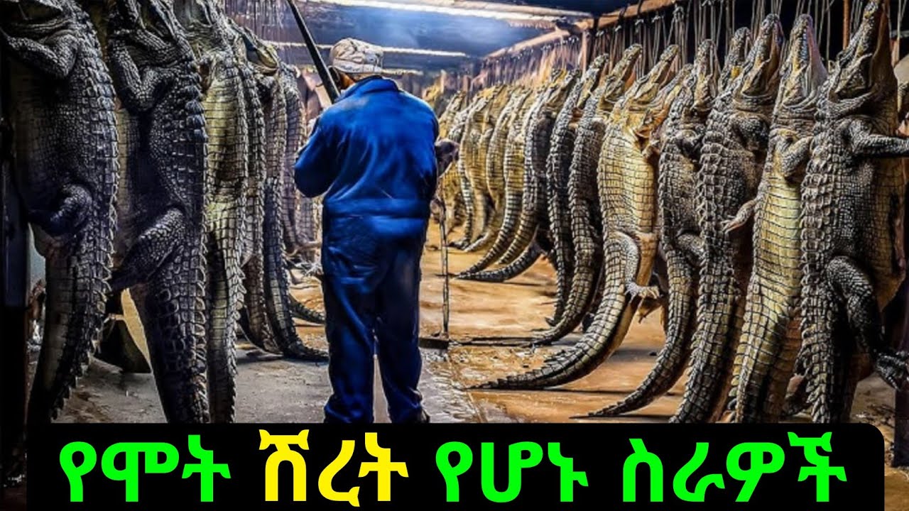 በየአመቱ የብዙዎችን ህይወት የሚቀጥፉት አደገኛና አስገራሚዎቹ ስራዎች / Part 2/
