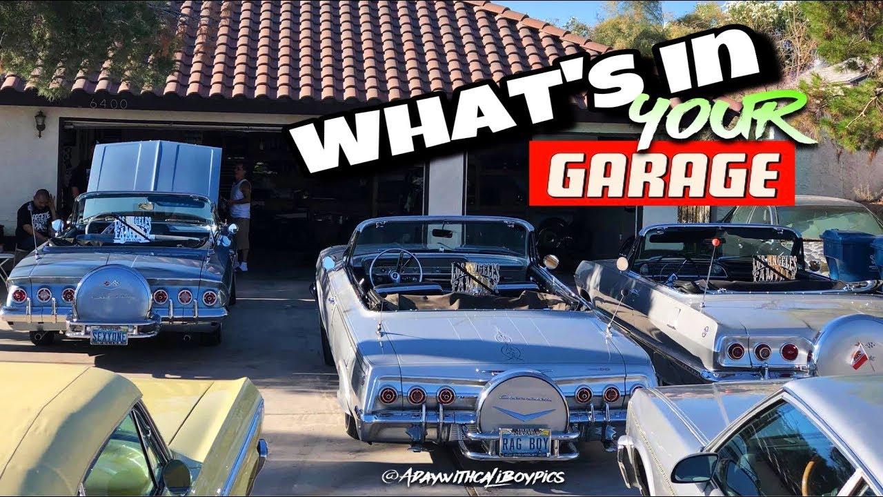 Whats in your Garage "BONUS" Big Fern and friends! (HD/4K)