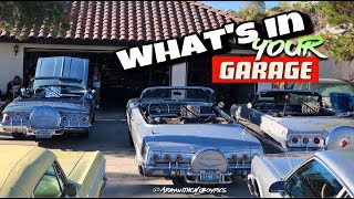 Whats in your Garage "BONUS" Big Fern and friends! (HD/4K)
