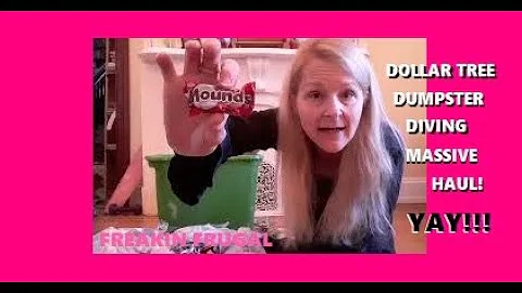 DOLLAR TREE DUMPSTER DIVE ~ WE FOUND SUCH A MASSIVE HUGE HAUL OF REALLY USEFUL MERCHANDISE!