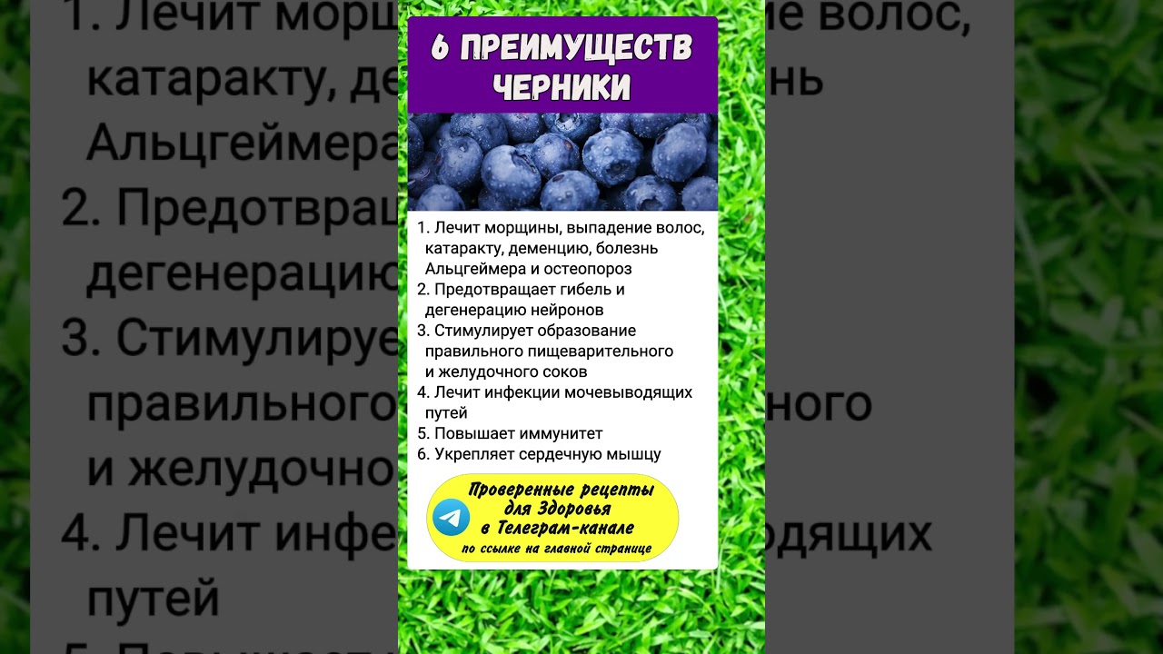 Черника.. полезно знать