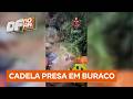 Bombeiros resgatam cadela presa em buraco no quintal de casa no Itapoã | DF no Ar