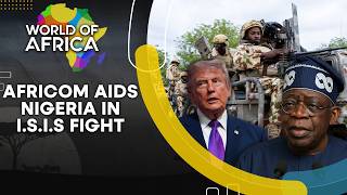 Information LIVE: US Military Rapid Campaign Against Isil Fighters in Nigeria | World Of Africa | WION Update