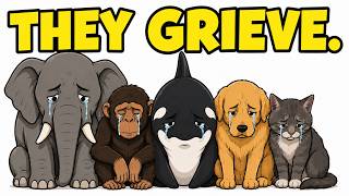 Witnessing Animal Grief: The Tragic Evidence You Haven't Seen!