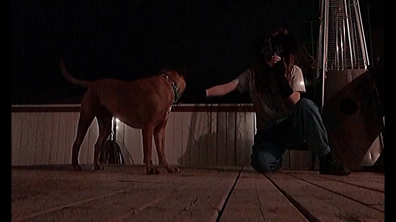 Small voice reveal #therian#theriangear#therianthropy#dog#quads#nightvibes 