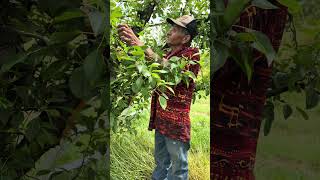 I Lost Everything Because I Didnt Think Before I Acted stockfarmer humor comedy viralshort