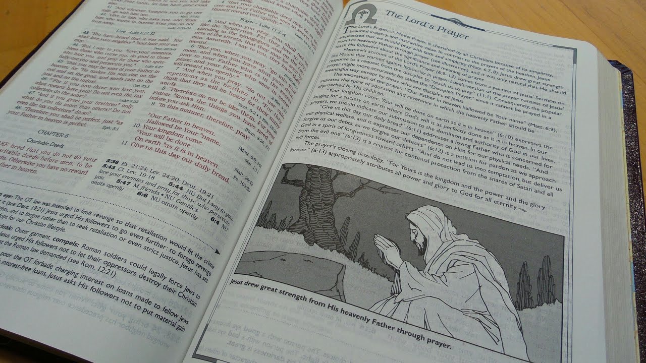 A new Open Bible in the family brings new joy, its nice and clean.