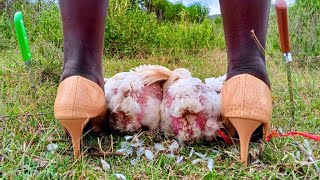 Lady Slaughter Two Chicken In Heels