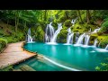 Relaxing music for stress relief anxiety and depressive states  heal mind body and soul