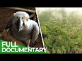 Saving Kakamega - Kenya's Only Rainforest | Giving Nature A Voice | Free Documentary Nature