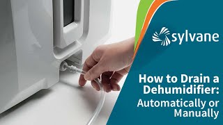 How to Drain a Dehumidifier Automatically | Sylvane - YouTube