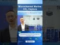 Microchannel absorbers VS Traditional absorption towers#carboncapture #marine #ship #Shenshi