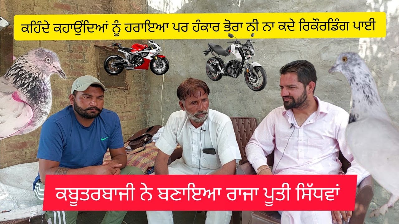 Ik Shonk kabootarbaazi Da Full Interview ਪੂਤੀ ਸਿੱਧਵਾਂ ਕਲਾਂ