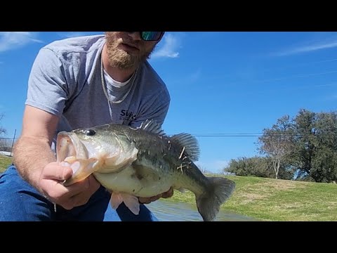 Pre Spawn Bass Fishing! (New Pond Paid Off)
