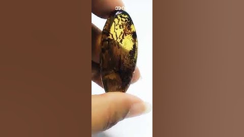 #ahkeeamber #amber #myanmar #fossils #insects  https://www.facebook.com/AhKeeAmber?mibextid=ZbWKwL