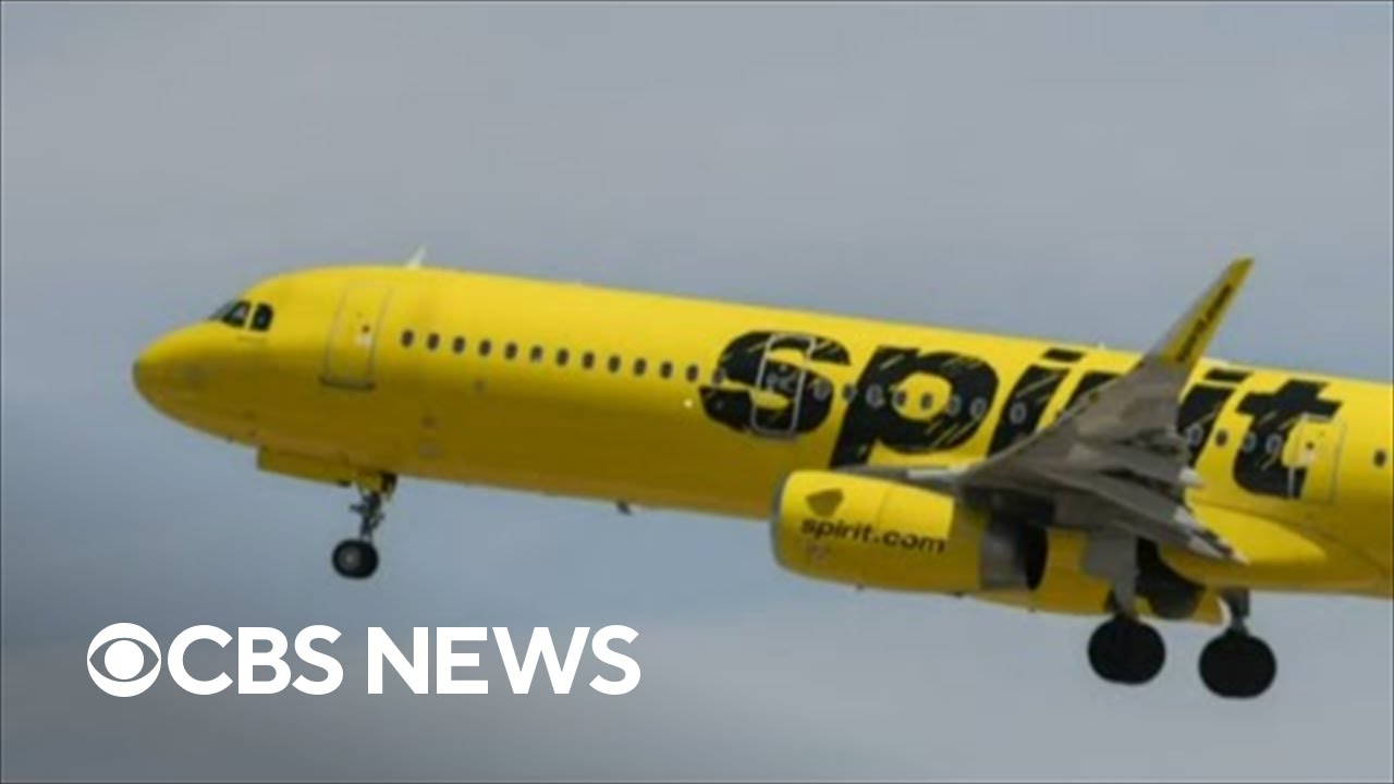 ⁣Potential Spirit Airlines merger could reshape market for discount plane tickets