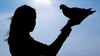 Bittin … Ilık Yazan Ve Seslendiren: Burçin Çelik