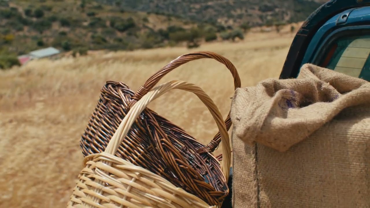 Bioaroma Crete Herbal Farm 4