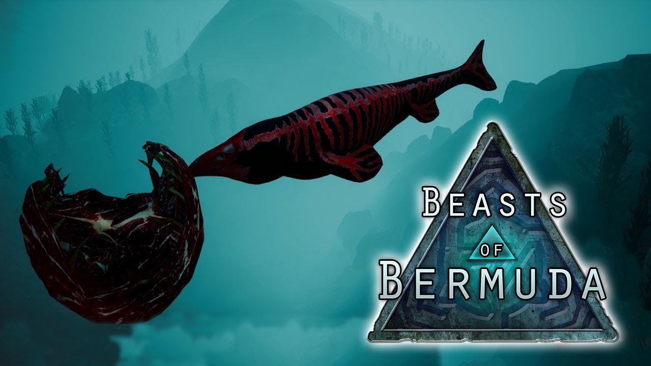 Звери Бермудских островов — все виды тварей