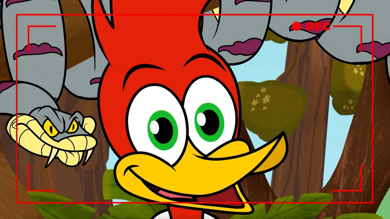 Woody Woodpecker | Nature Nuts + More Full Episodes - YouTube