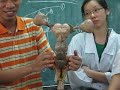 Middle of video