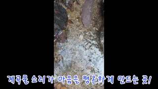 #진안펜션 #진안계곡펜션 #전북골프장 주변펜션 #지상낙원펜션