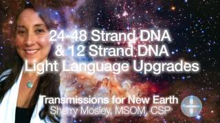 24-48 Strand Dna And 12 Strand Dna Light Language Upgrades
