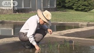 天皇陛下、皇居で恒例のお田植え　皇后さまは蚕に餌(15/05/20)