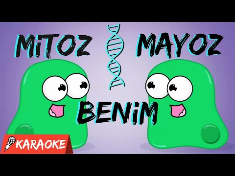 Mitoz Mayoz Şarkısı - Mitoz Benim Mayoz Benim