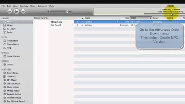 How to convert songs to MP3 Format & Convert Video (iTunes)