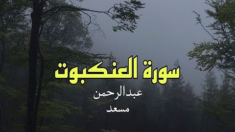 سورة العنكبوت كاملة مع صوت المطر - عبدالرحمن مسعد