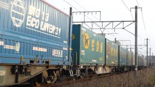 5072レ EF210-901号機　清水～興津