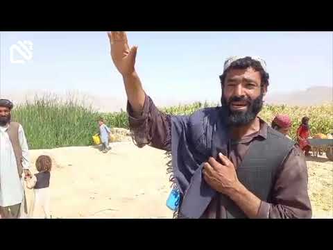 دکندهار چارواکي وایي غورک ولسوالۍ کي یې لس زره جریبه مځکه له غاصبینو خلاصه کړې